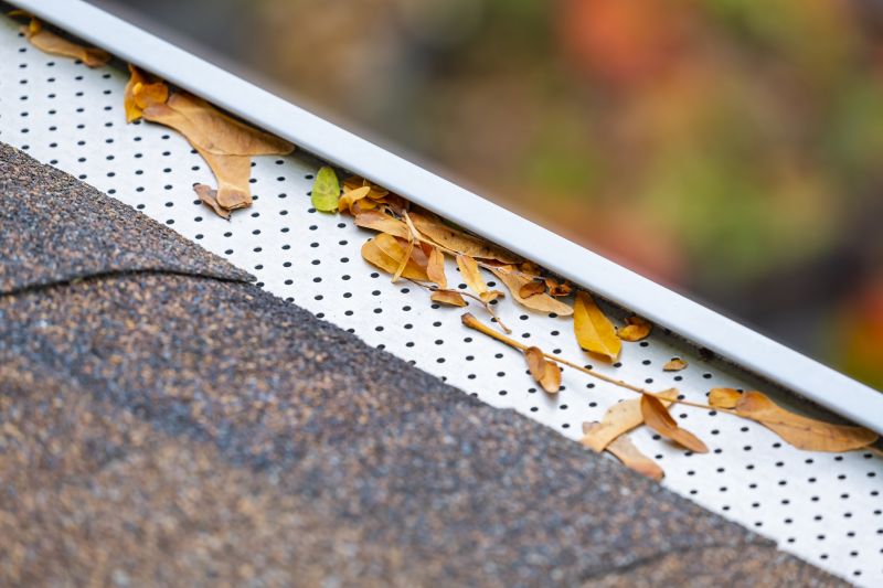 Gutter Protection Solutions